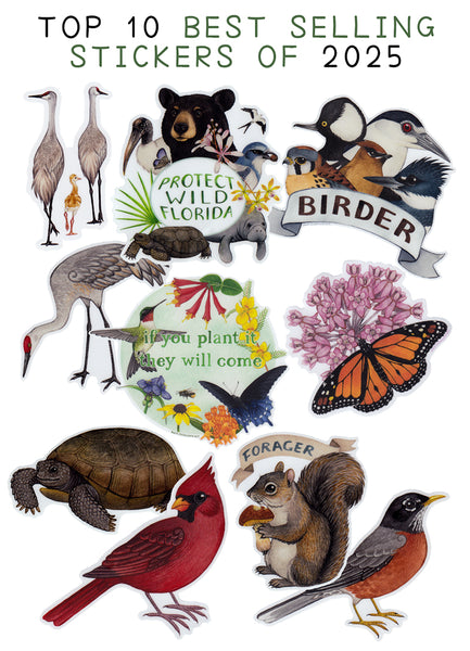 Wholesale Vinyl Sticker: "Birder"
