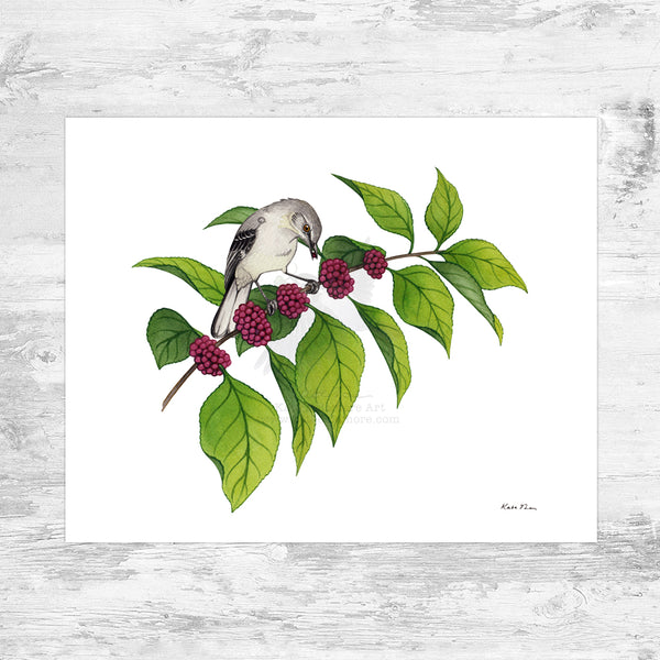 Wholesale Art Print: Northern Mockingbird on Beautyberry
