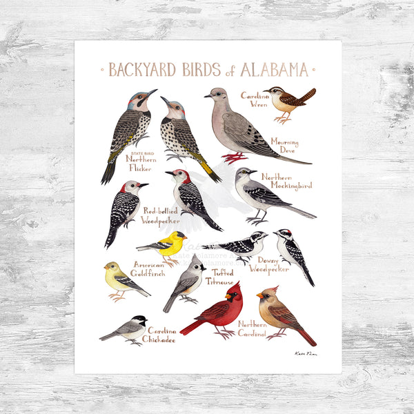 Wholesale Backyard Birds Field Guide Art Print: Alabama Mini