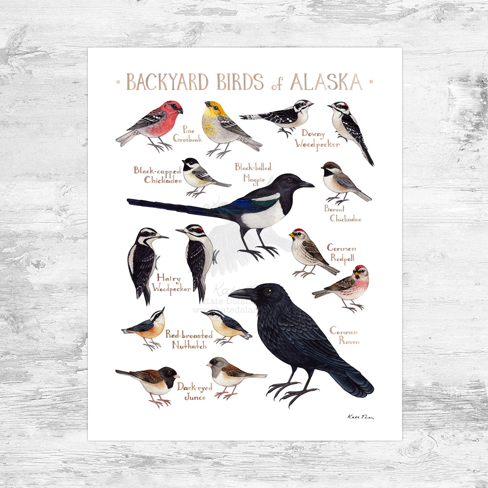 Wholesale Backyard Birds Field Guide Art Print: Alaska Mini