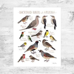 Wholesale Backyard Birds Field Guide Art Print: Arizona Mini