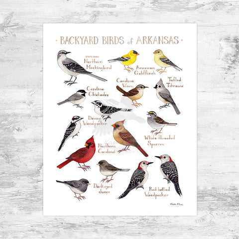 Wholesale Backyard Birds Field Guide Art Print: Arkansas Mini