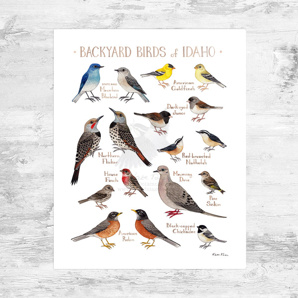 Wholesale Backyard Birds Field Guide Art Print: Idaho Mini