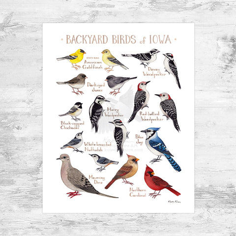 Wholesale Backyard Birds Field Guide Art Print: Iowa Mini