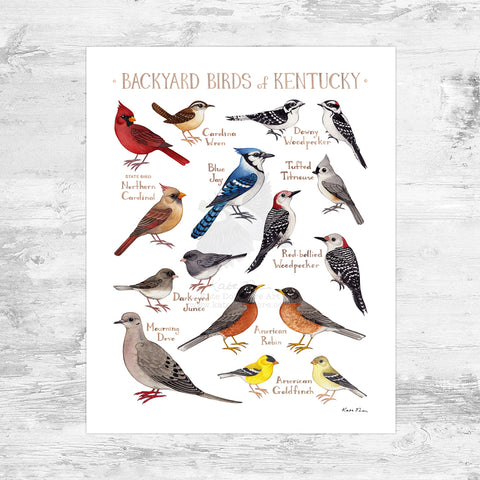 Wholesale Backyard Birds Field Guide Art Print: Kentucky Mini