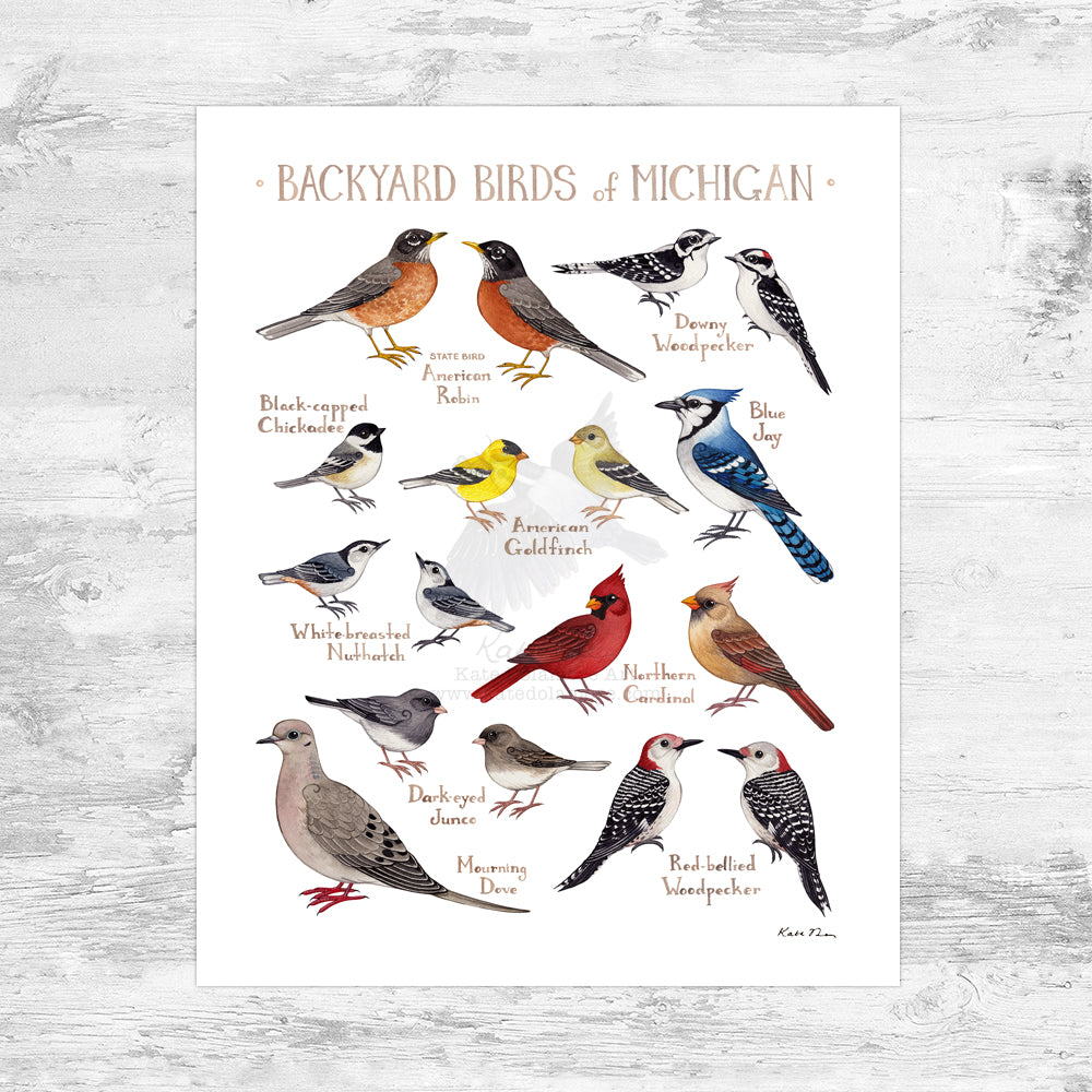 Wholesale Backyard Birds Field Guide Art Print: Michigan Mini