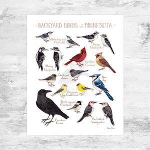 Wholesale Backyard Birds Field Guide Art Print: Minnesota Mini