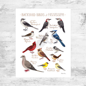 Wholesale Backyard Birds Field Guide Art Print: Mississippi Mini