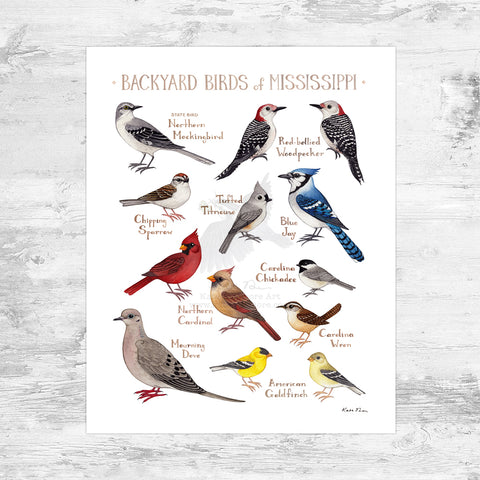 Wholesale Backyard Birds Field Guide Art Print: Mississippi Mini