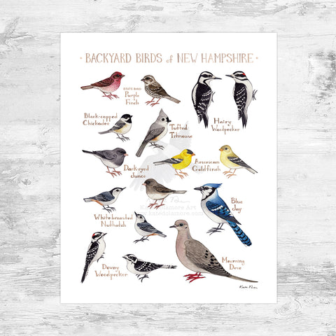 Wholesale Backyard Birds Field Guide Art Print: New Hampshire Mini