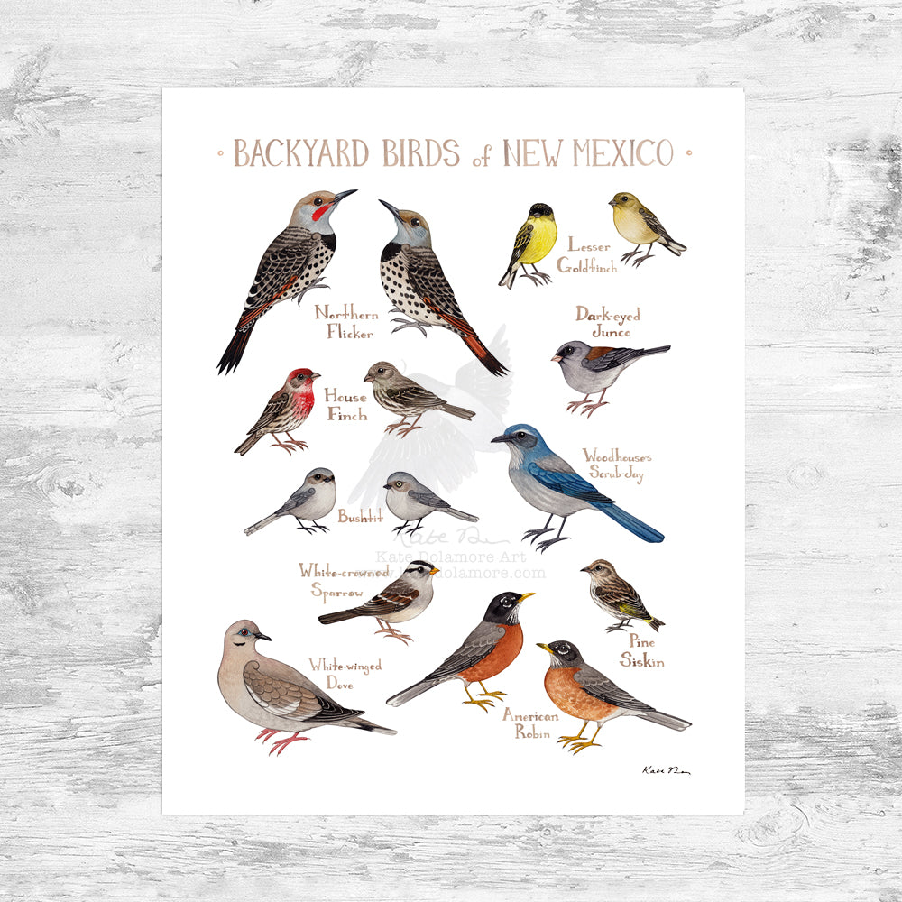 Wholesale Backyard Birds Field Guide Art Print: New Mexico Mini