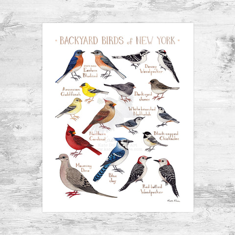 Wholesale Backyard Birds Field Guide Art Print: New York Mini