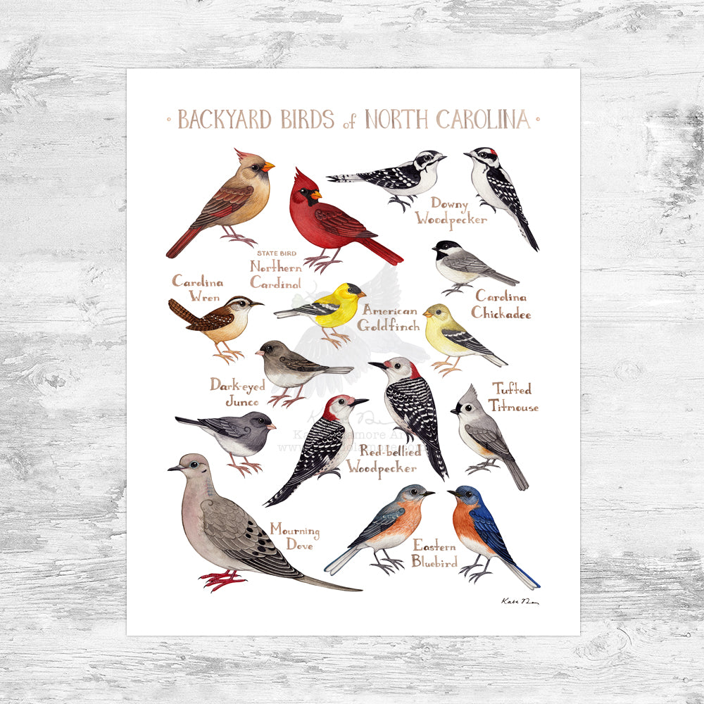 Wholesale Backyard Birds Field Guide Art Print: North Carolina Mini