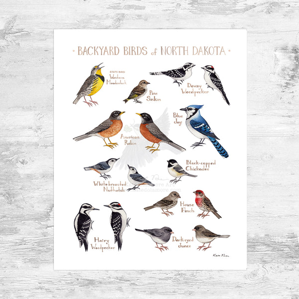 Wholesale Backyard Birds Field Guide Art Print: North Dakota Mini