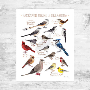 Wholesale Backyard Birds Field Guide Art Print: Oklahoma Mini