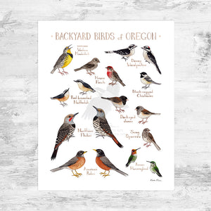 Wholesale Backyard Birds Field Guide Art Print: Oregon Mini