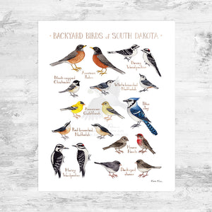 Wholesale Backyard Birds Field Guide Art Print: South Dakota Mini