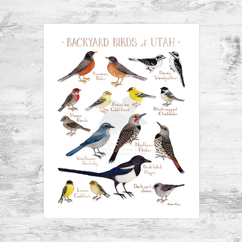 Wholesale Backyard Birds Field Guide Art Print: Utah Mini