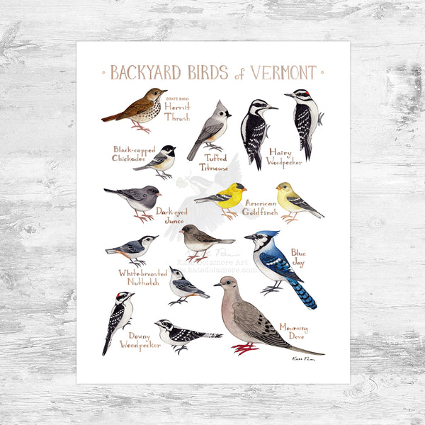 Wholesale Backyard Birds Field Guide Art Print: Vermont Mini