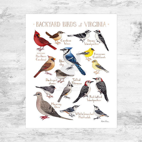 Wholesale Backyard Birds Field Guide Art Print: Virginia Mini