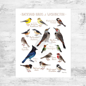 Wholesale Backyard Birds Field Guide Art Print: Washington Mini