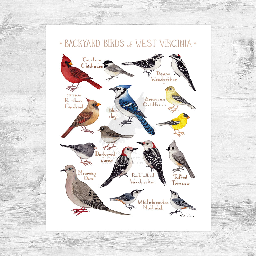 Wholesale Backyard Birds Field Guide Art Print: West Virginia Mini