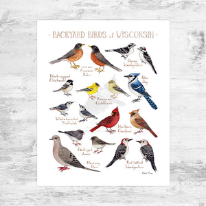 Wholesale Backyard Birds Field Guide Art Print: Wisconsin Mini