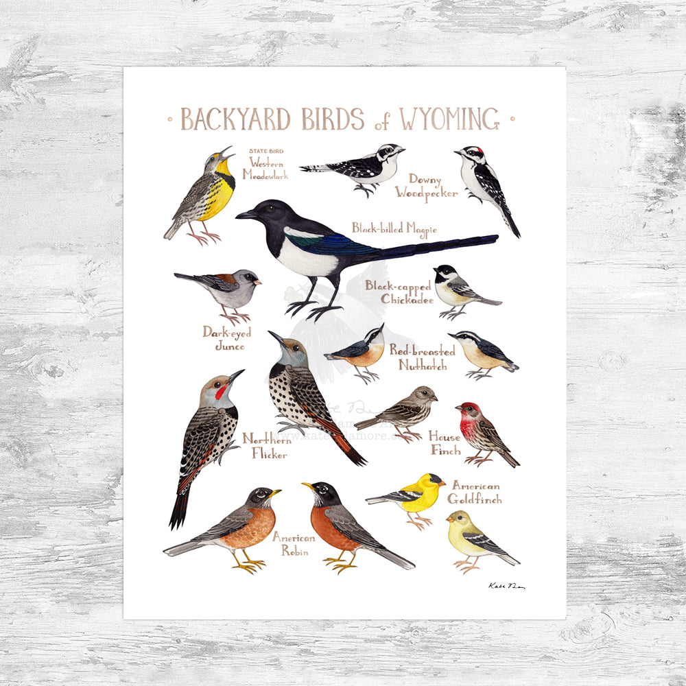 Wholesale Backyard Birds Field Guide Art Print: Wyoming Mini