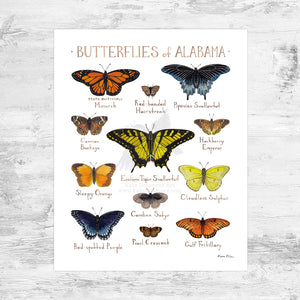 Wholesale Butterflies Field Guide Art Print: Alabama Mini