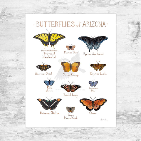 Wholesale Butterflies Field Guide Art Print: Arizona Mini