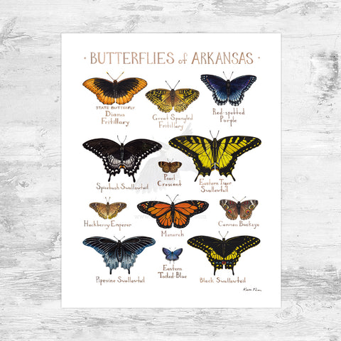Wholesale Butterflies Field Guide Art Print: Arkansas Mini