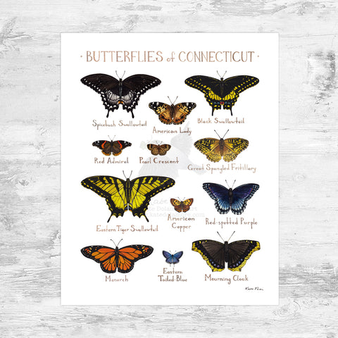 Wholesale Butterflies Field Guide Art Print: Connecticut Mini