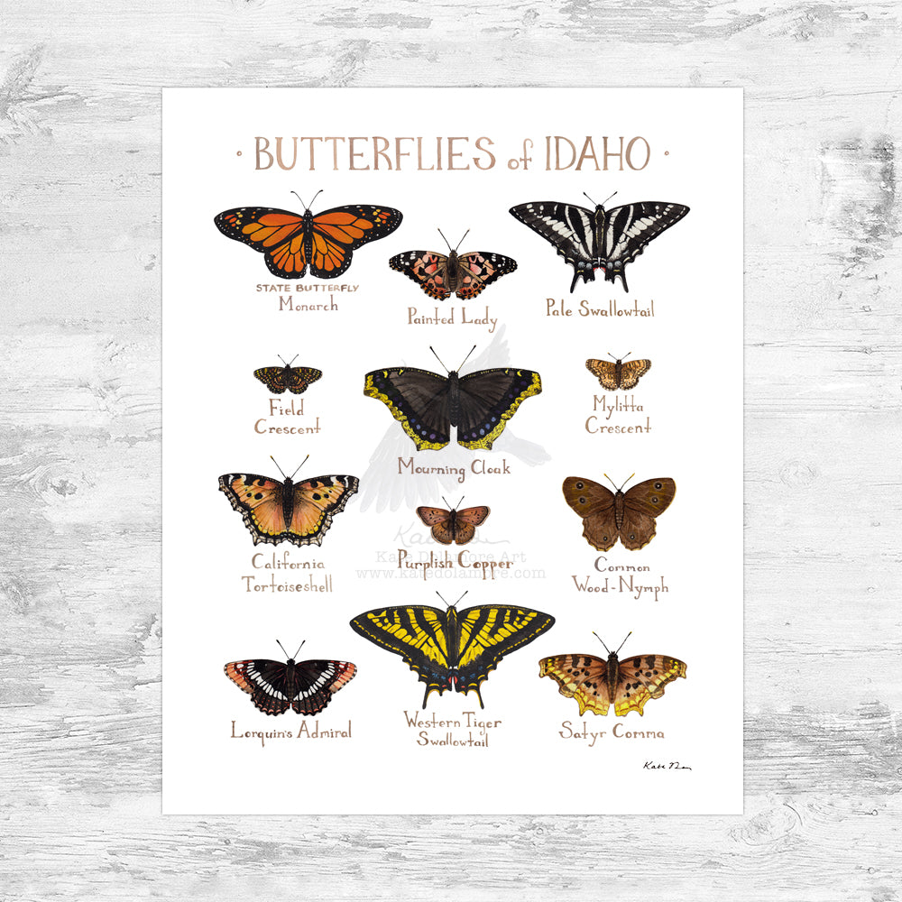 Wholesale Butterflies Field Guide Art Print: Idaho Mini