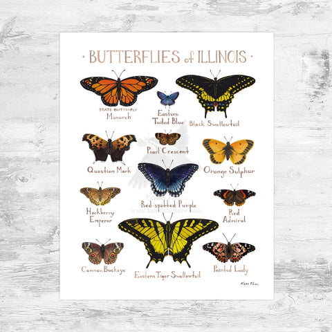 Wholesale Butterflies Field Guide Art Print: Illinois Mini