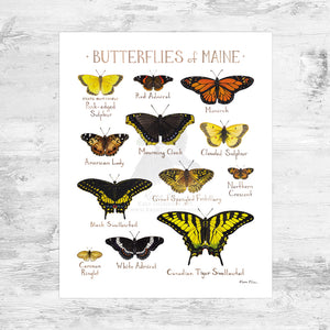 Wholesale Butterflies Field Guide Art Print: Maine Mini