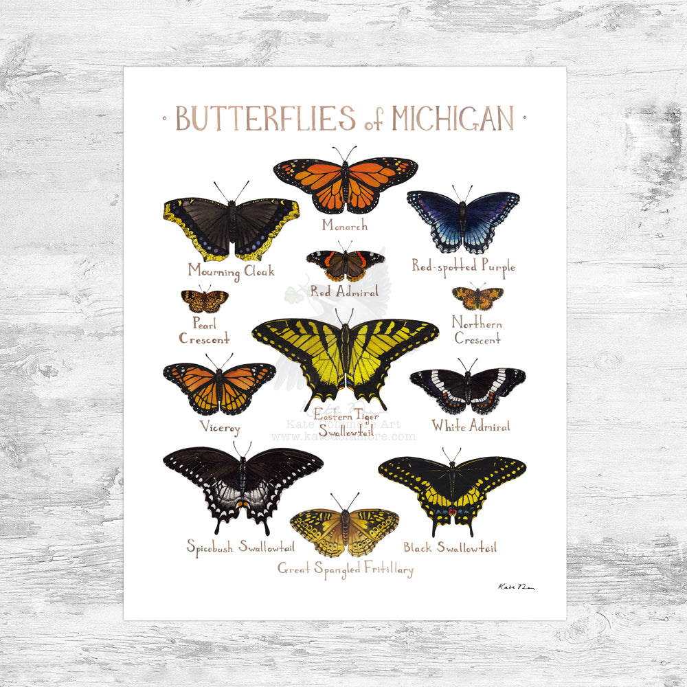 Wholesale Butterflies Field Guide Art Print: Michigan Mini