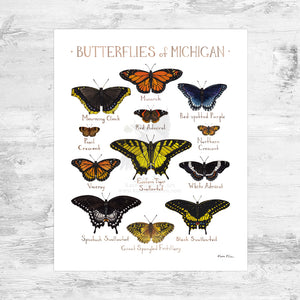 Wholesale Butterflies Field Guide Art Print: Michigan Mini