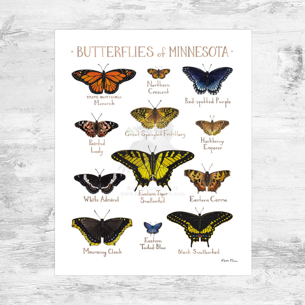 Wholesale Butterflies Field Guide Art Print: Minnesota Mini