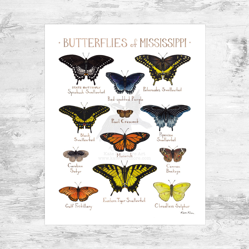 Wholesale Butterflies Field Guide Art Print: Mississippi Mini