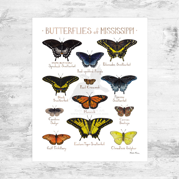 Wholesale Butterflies Field Guide Art Print: Mississippi Mini