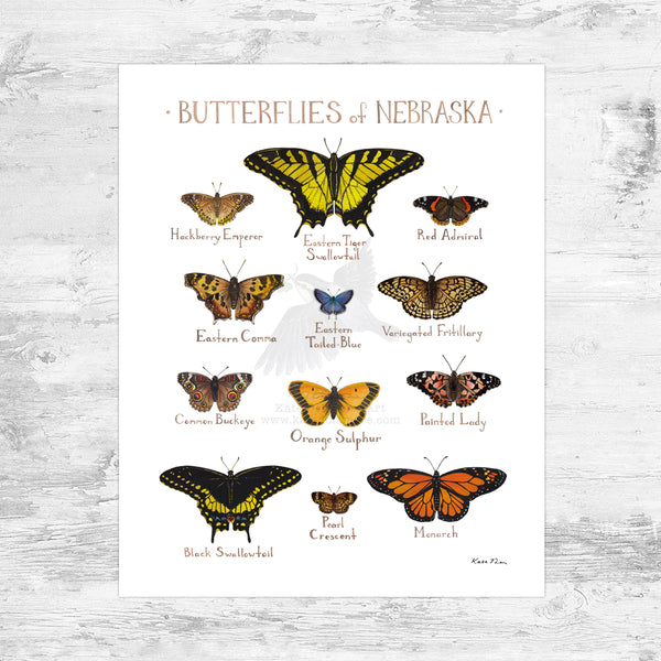 Wholesale Butterflies Field Guide Art Print: Nebraska Mini