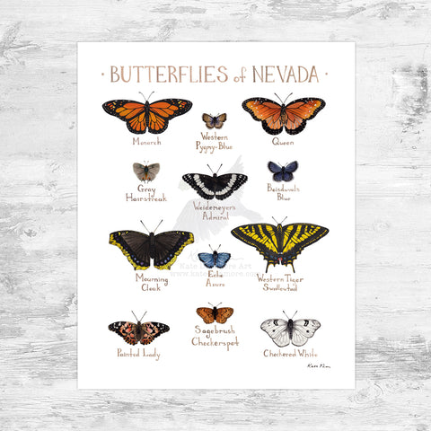 Wholesale Butterflies Field Guide Art Print: Nevada Mini