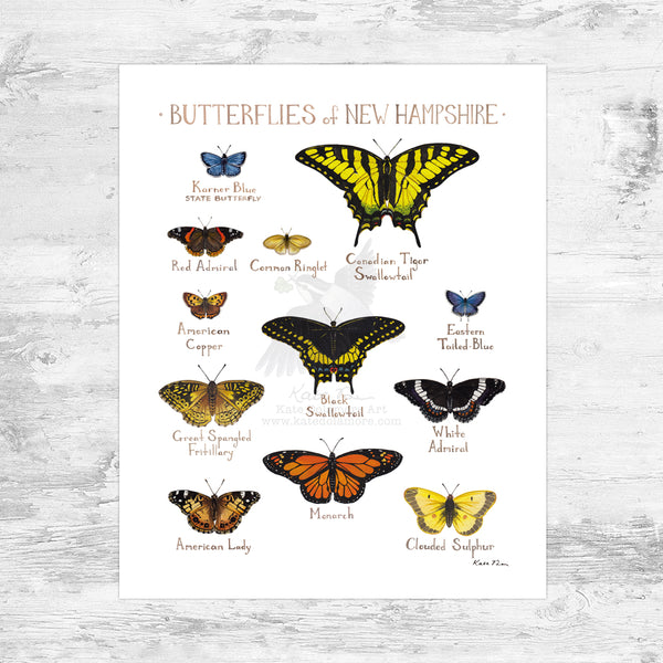 Wholesale Butterflies Field Guide Art Print: New Hampshire Mini