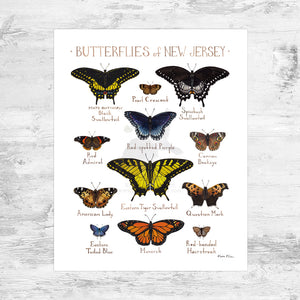 Wholesale Butterflies Field Guide Art Print: New Jersey Mini