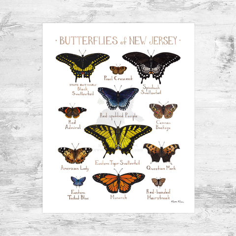 Wholesale Butterflies Field Guide Art Print: New Jersey Mini