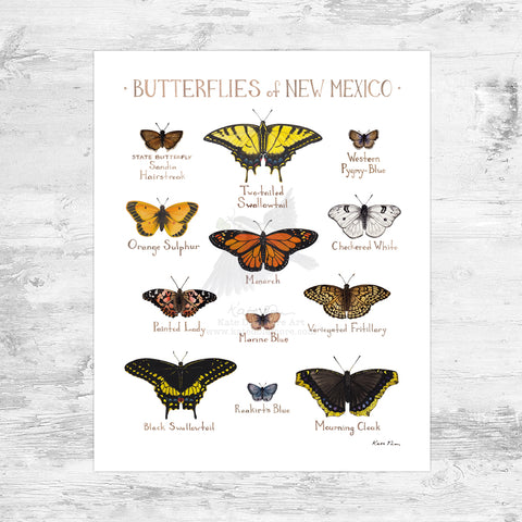 Wholesale Butterflies Field Guide Art Print: New Mexico Mini