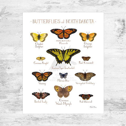 Wholesale Butterflies Field Guide Art Print: North Dakota Mini