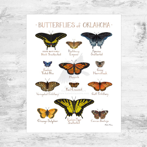 Wholesale Butterflies Field Guide Art Print: Oklahoma Mini