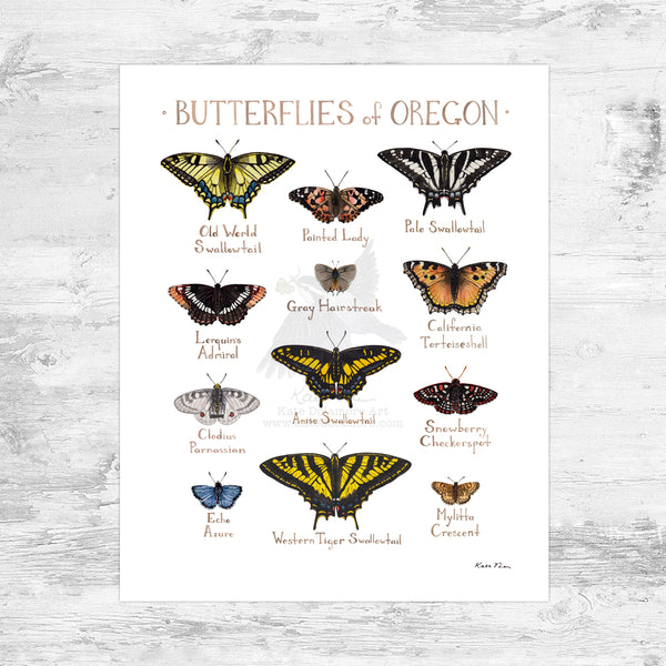 Wholesale Butterflies Field Guide Art Print: Oregon Mini