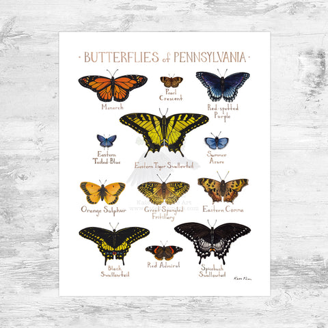 Wholesale Butterflies Field Guide Art Print:Pennsylvania Mini